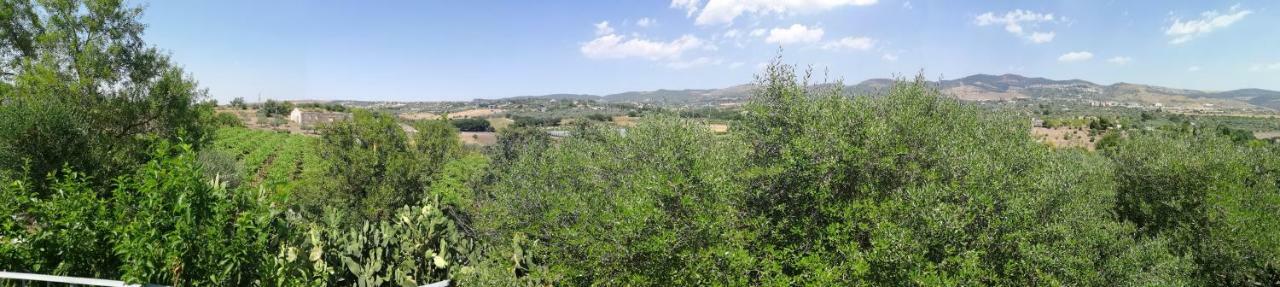 Poggio Del Gallo Кьярамонте-Гульфи Экстерьер фото